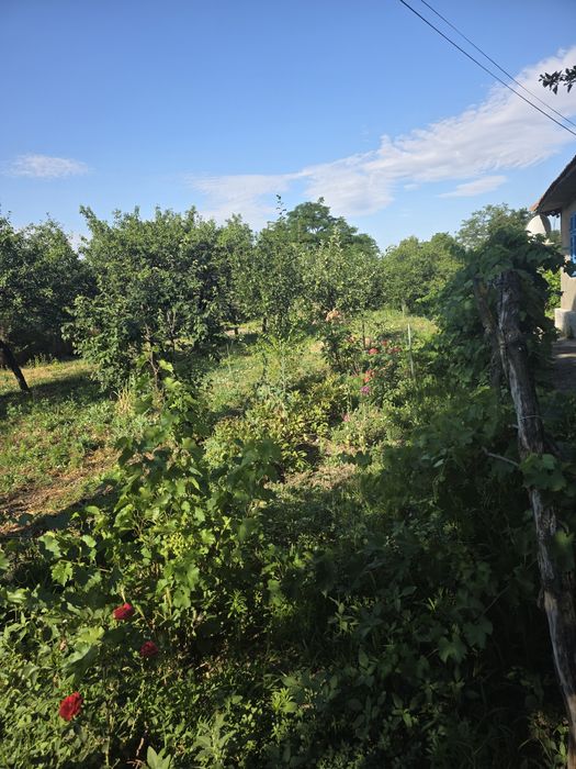 Casa Batraneasca  minunată Buzău