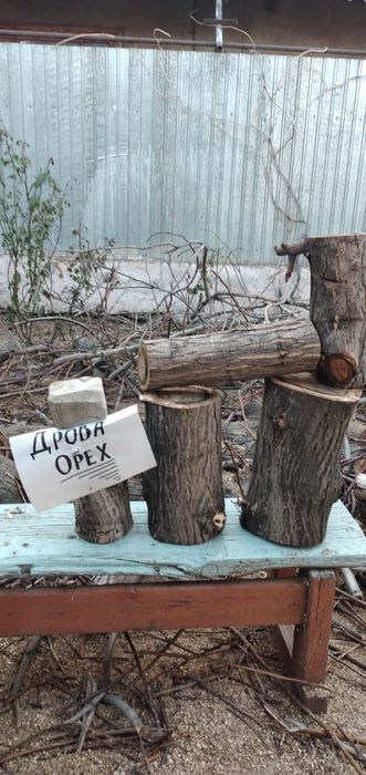 Отынға жаңғақ ағашының кесінділеріін отынға беремін