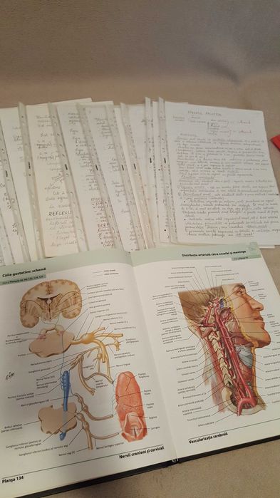 Meditatii Biologie BAC si Admitere la medicina