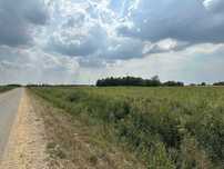 Teren 7.500 mp de închiriat în Sântion – zonă industrială