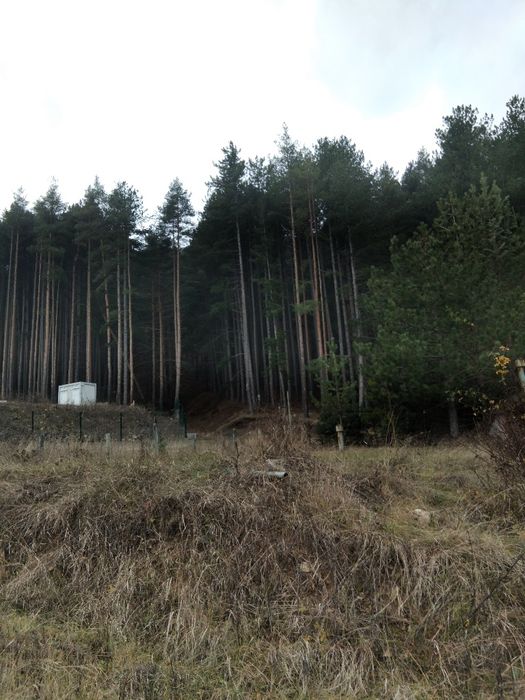 Продава имот в гр.Сапарева баня