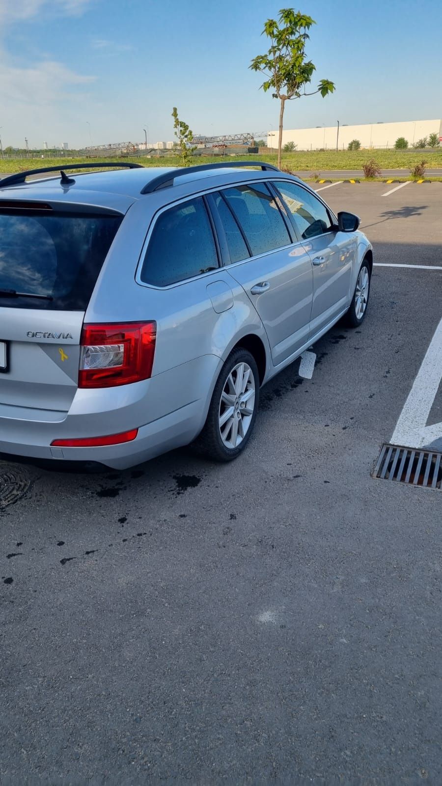 Vand Skoda Octavia 2014