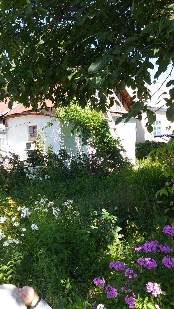 Продам дом в Ванновке/ ул.М.Бағысбаев (Арычна