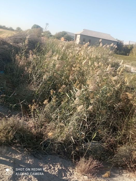 Qamich sotiladi kelishilgan narxda