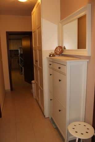 Двустаен имот в Дървеница