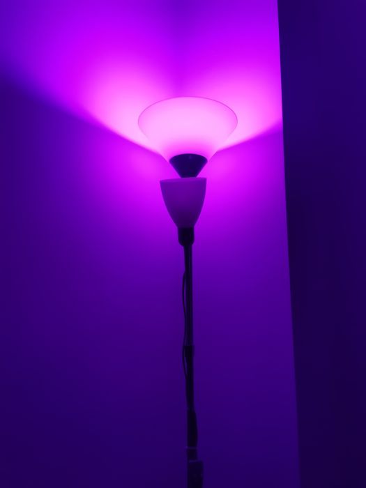 Lampadar              E