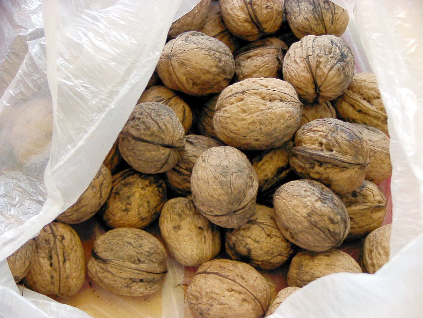 Кыргызские орехи Ёнгок