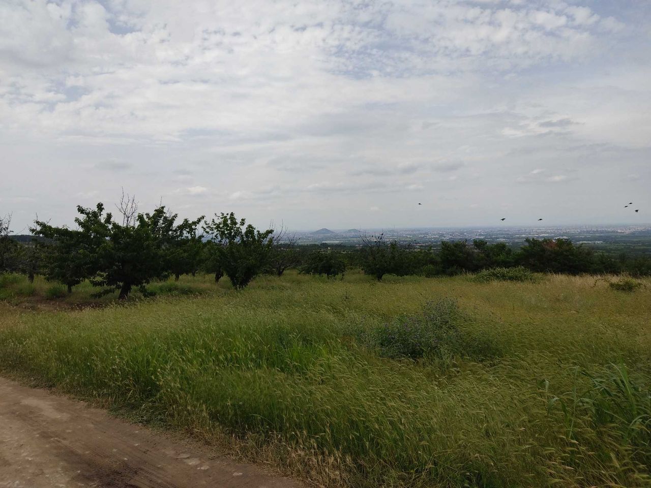 Продава се Парцел в с. Брестник, Област Пловдив - 610 кв.м за 69 €/кв.м - Снимка #1
