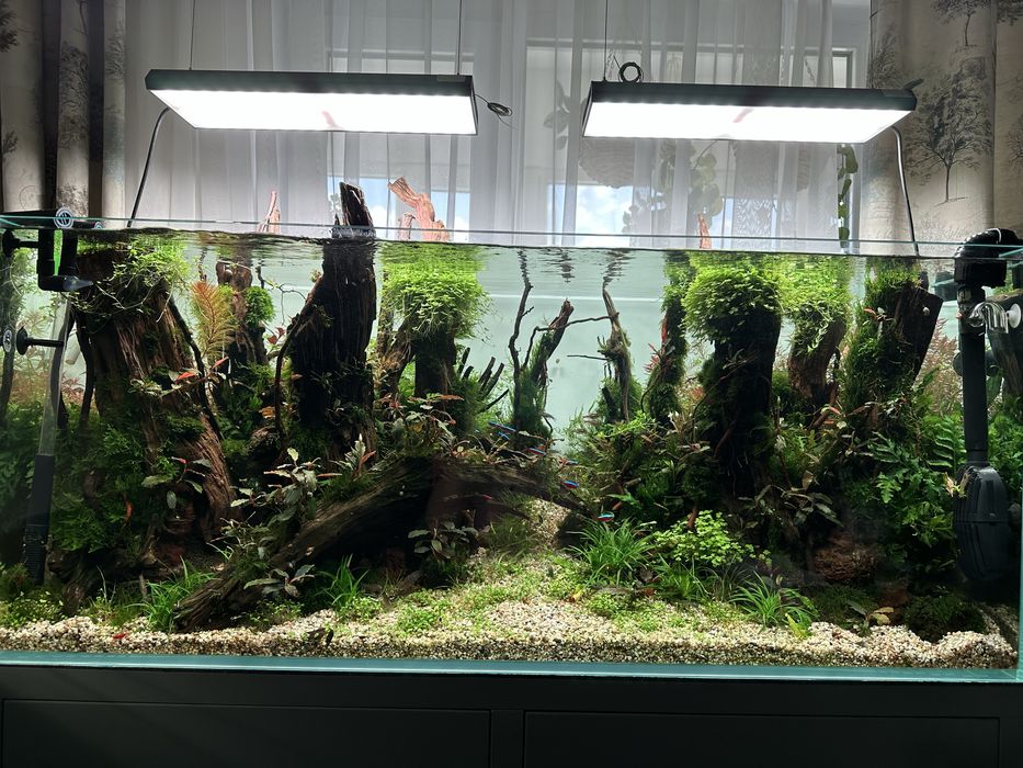 Chihiros vivid 2 10th generation