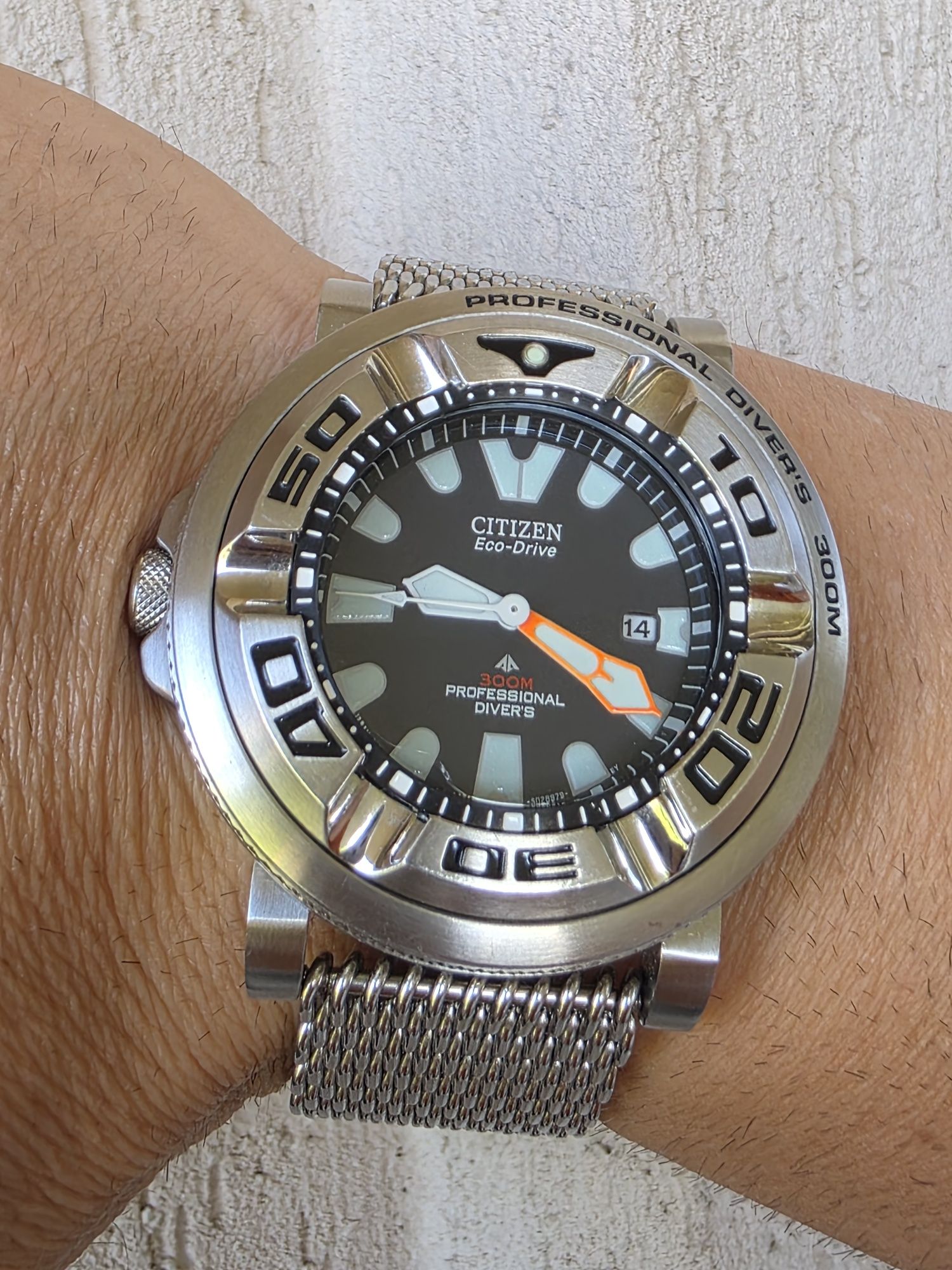 Citizen Ecozilla b873-s026547