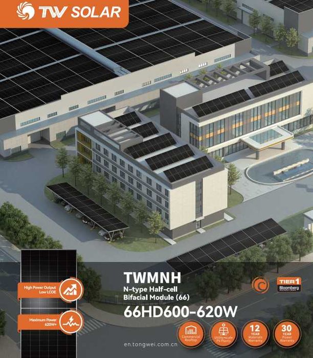 Полная информация о солнечных панелях TONGWEI 620W/625W