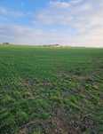 Teren sos Slobozie 1.75ha