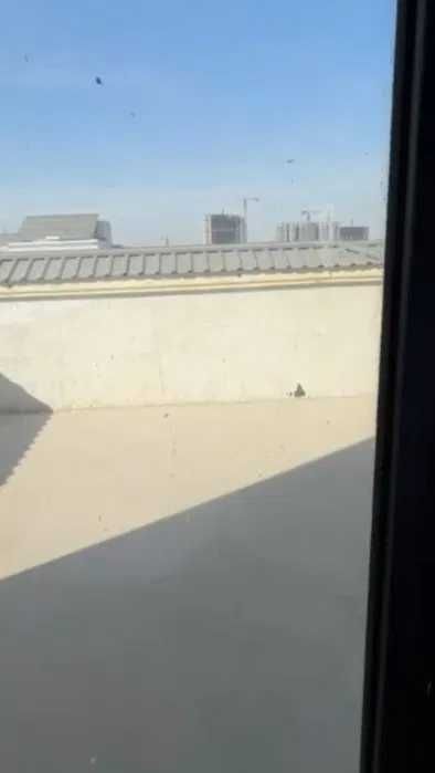 СРОЧНО Продается 170м² Квартира с Терассой , ЖК "HILMAR" /  Яккасарай