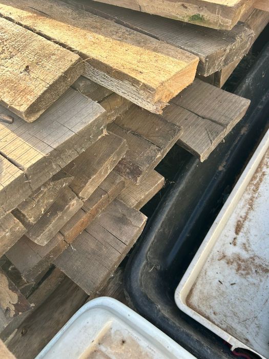 Опаловки в хорошем состоянии