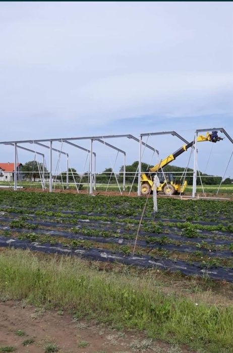 Hale metalice cu panouri sandwich