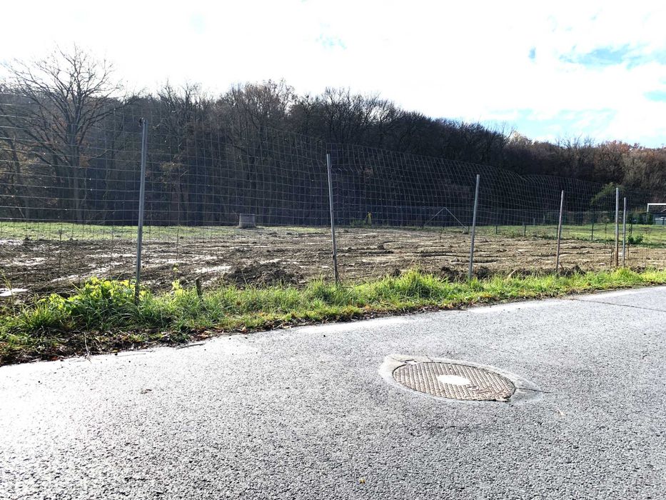 Teren Corunca, PUZ utilitati drum asfaltat S=900 mp