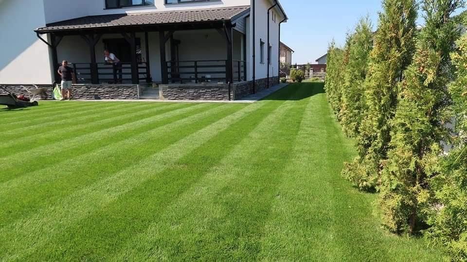 Gazon rulou premium ne deplasam oriunde in tara