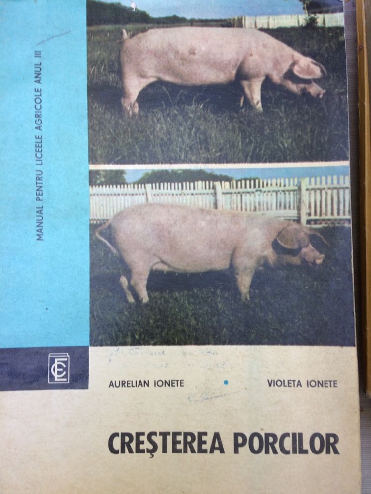 Cresterea porcilor manual Licee agricole an III, 1971, Ionete Aurelian