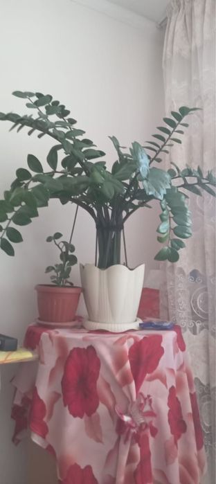 Продам горшки для комнатного растения