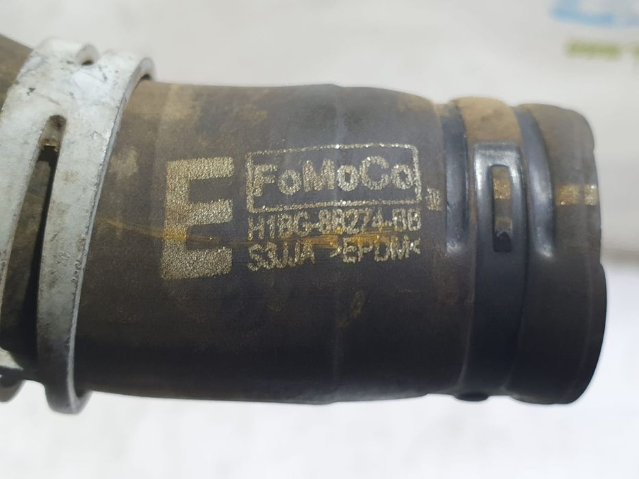 Furtun apa Ford Fiesta 7 (2017 - 2020) (1318) B7JA