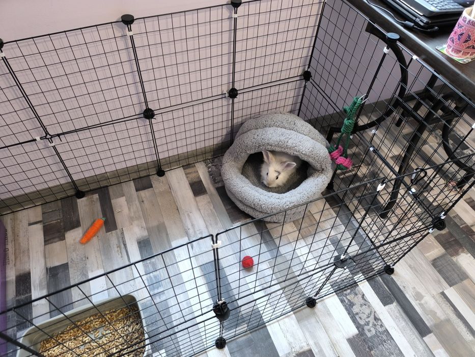 Легло за домашни любимци "Пинпон".