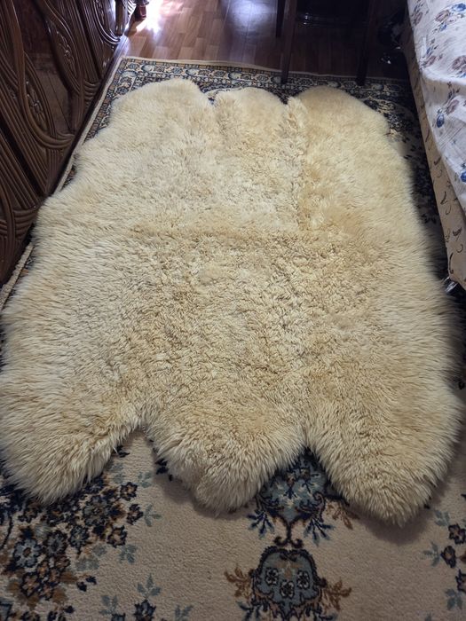 Продам шкурку. Натуральная. Меховая. Недорого