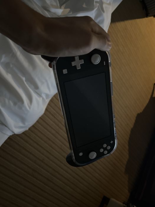 Nintendo switch lite прошитый