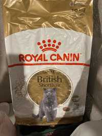 Royal Canin British Shorthair