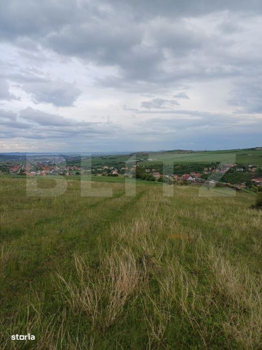 Teren extravilan 1249 mp in Copaceni! Oportunitate investitie!