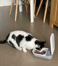 Automatic pet feeder, Hrănitor pt pisici