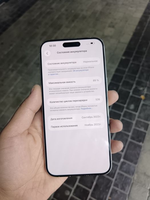 iPhone 15 Pro Max CH/A 256 GB Natural Titanium