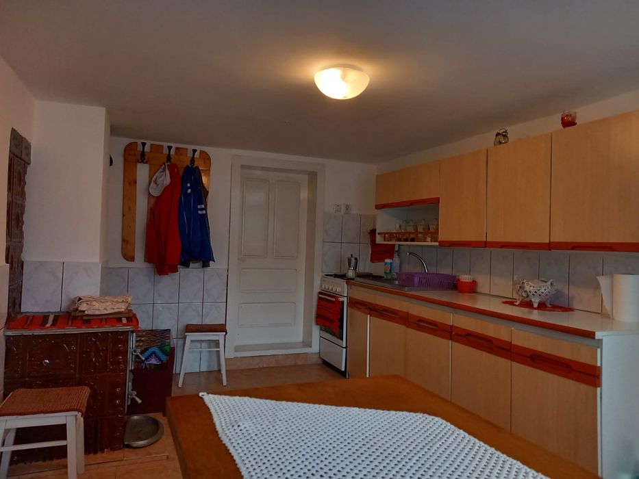 Casa de vinzare Horea