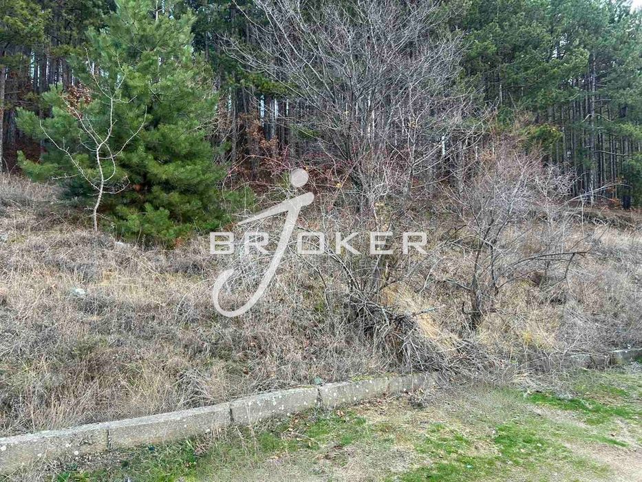 Продава се Парцел в с. Брош, Област Кърджали - 1000 кв.м за 95 €/кв.м - Снимка #5