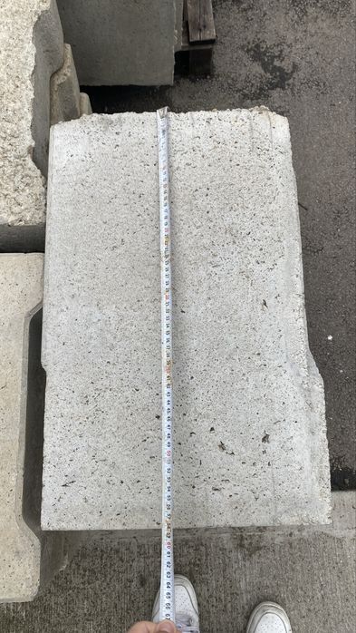 Rigola Carosabila armata