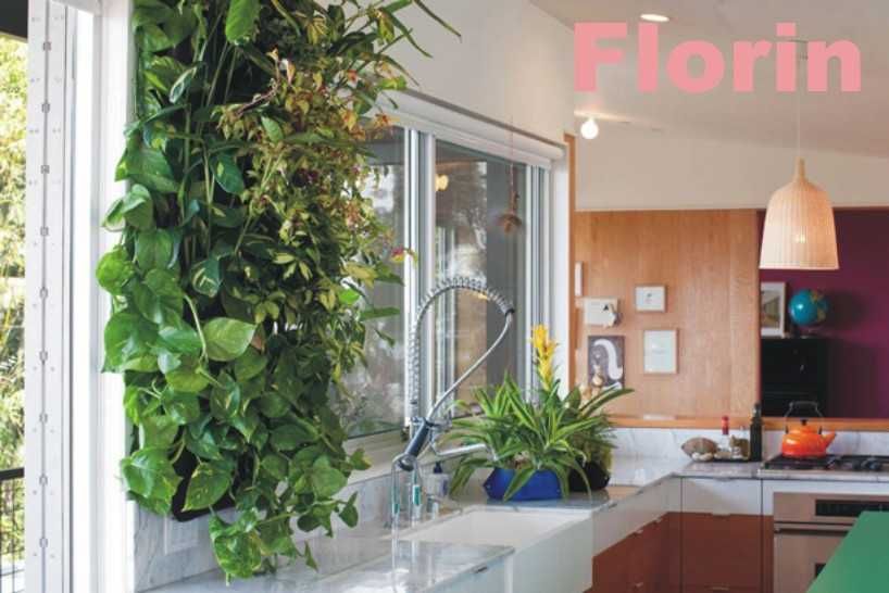 Suport ghivece perete flori pt cei pasionati. Ideal pentru cadou!