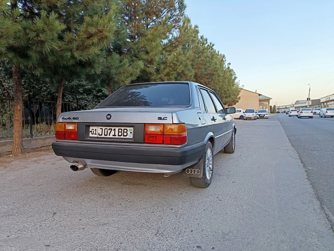 Audi 80 1986 рейсталинг