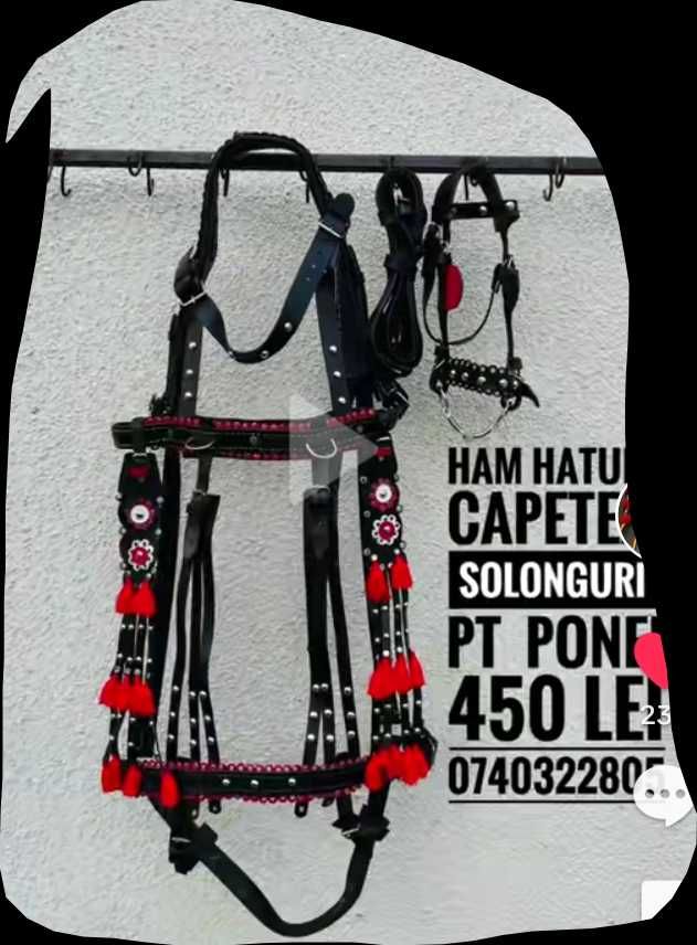 Căruță și ham pentru ponei