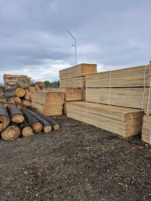 Cherestea, BRAD, Molid, STEJAR, FRASIN, Tei