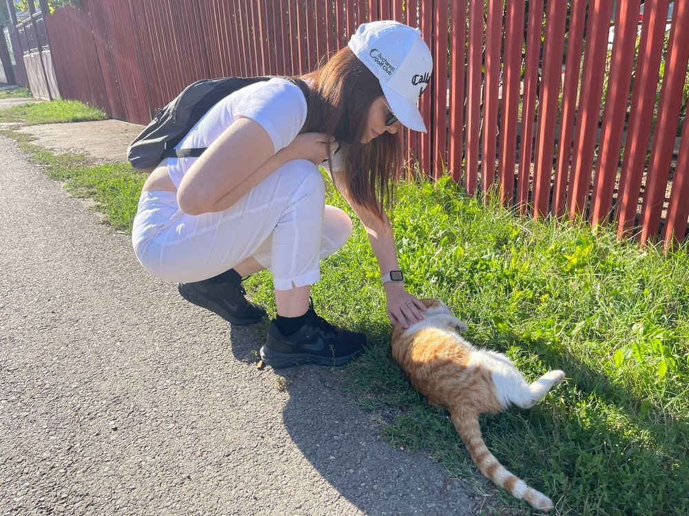 Pet sitter pisici, caini