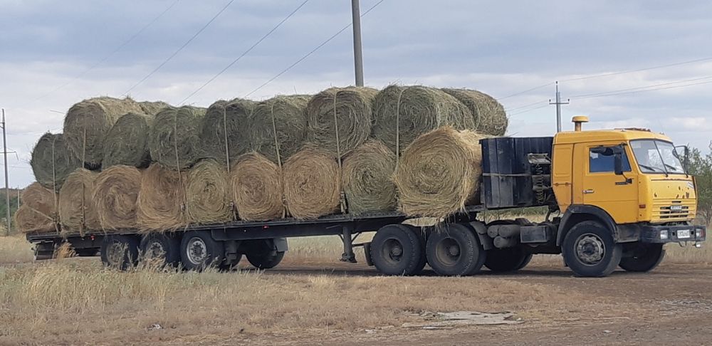продам сено разнотравы от города 3 км