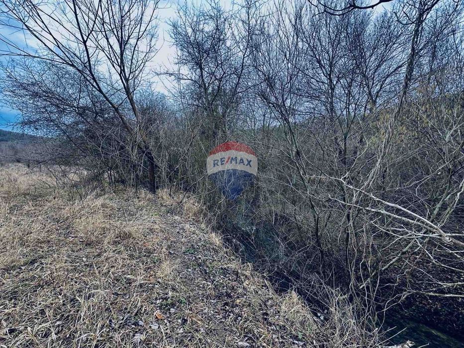 Продава се Парцел в с. Църква, Област Добрич - 25000 кв.м за 3 €/кв.м - Снимка #11