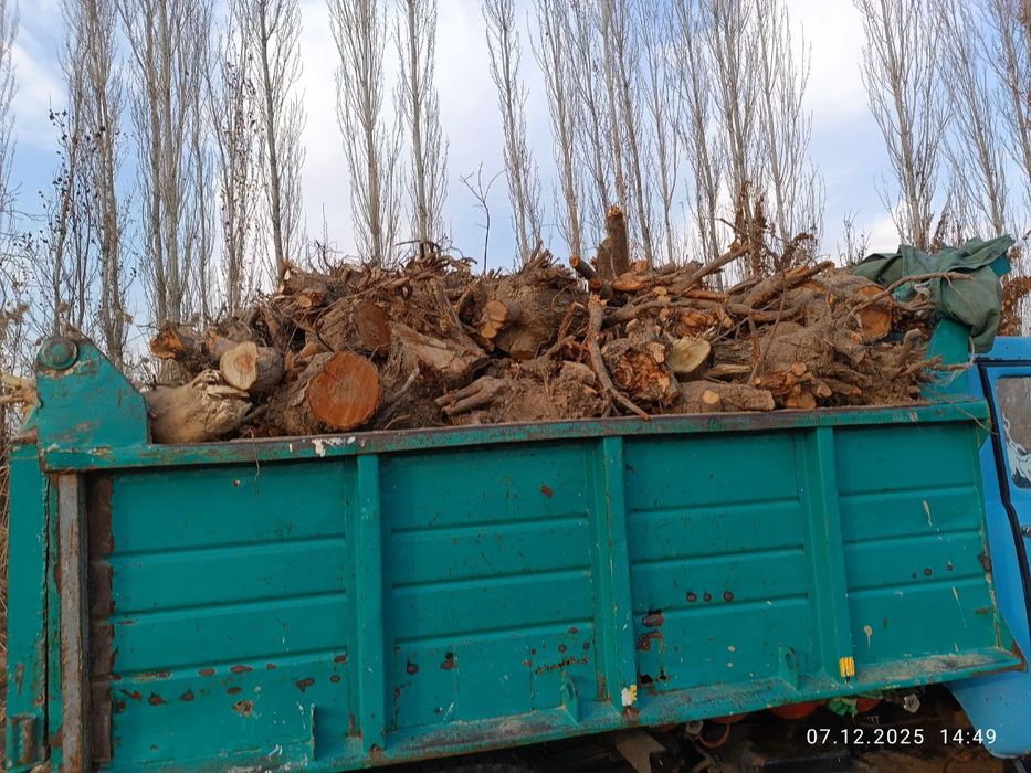 Quruq oʻtin sotiladi