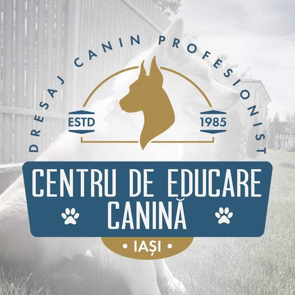 Dresaj canin profesionist/Pensiune canină
