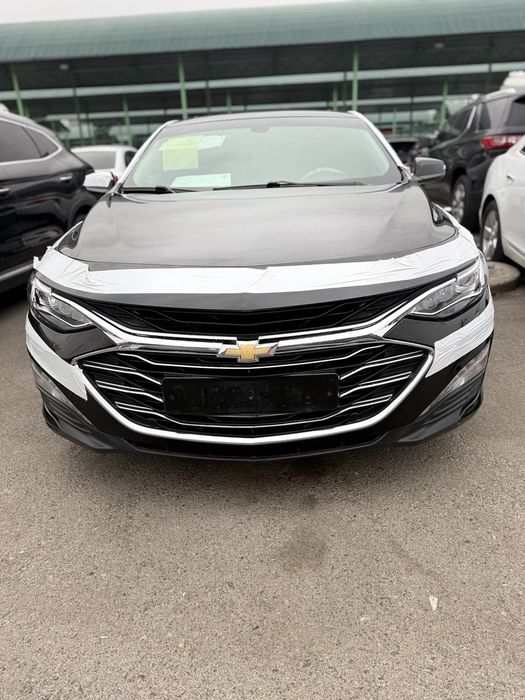 Malibu 2 primyer qilingan polni