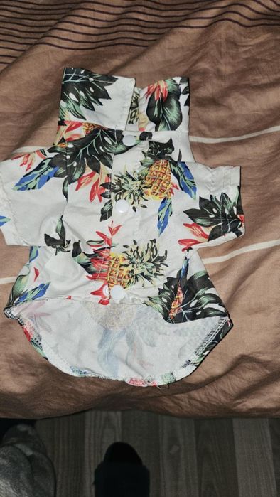 Дрехи за  куче той пудел