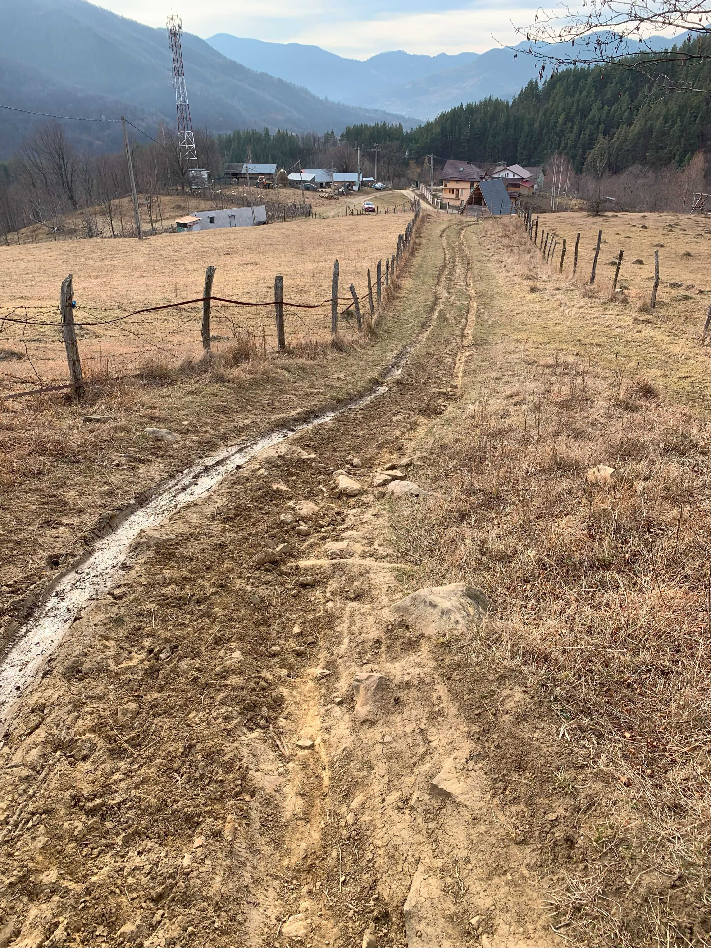 Teren Nehoiu, pentru cabană offgrid sau glamping