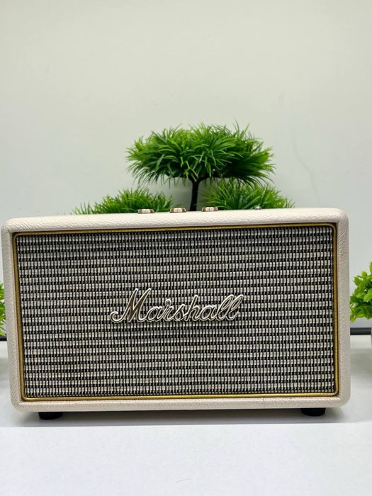 Пратативная колонка Marshall Acton III