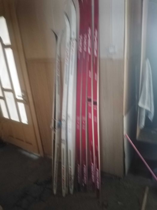 Продам лыжи тиса