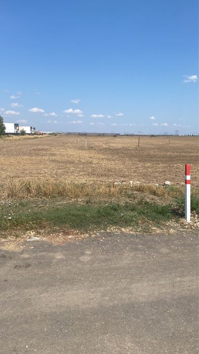 Teren Domnesti Ciutaci