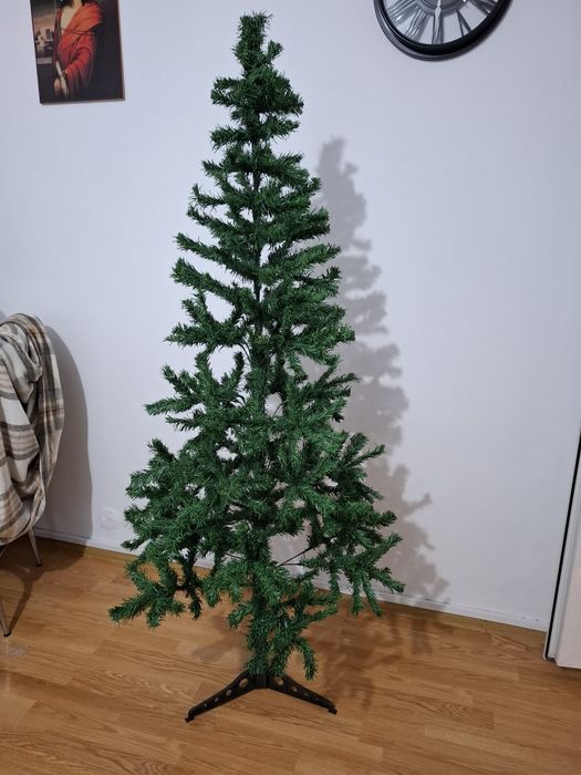 Brad de Craciun 1,80m